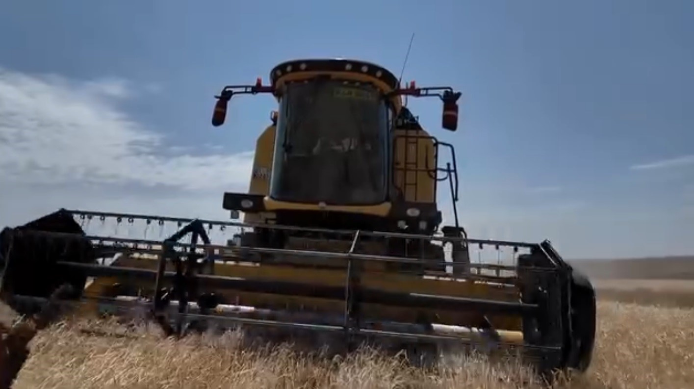 Kars’ta hasat mevsimi başladı