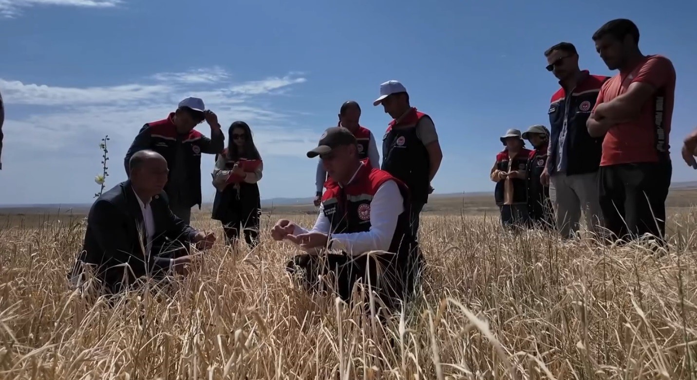 Kars&rsquo;ta hasat mevsimi başladı
