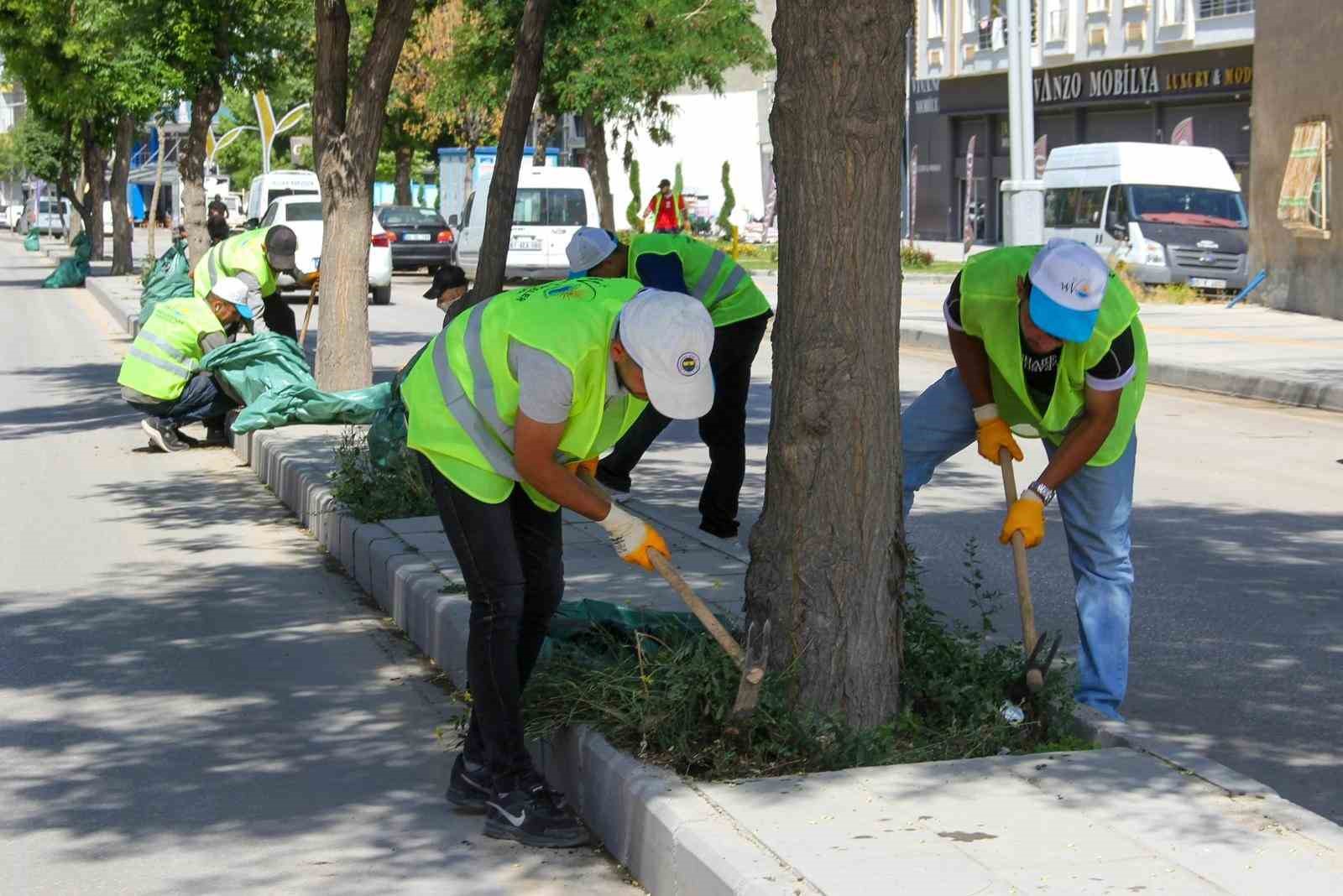 Van B&uuml;y&uuml;kşehir Belediyesinden yeşil alanlarda yoğun mesai
