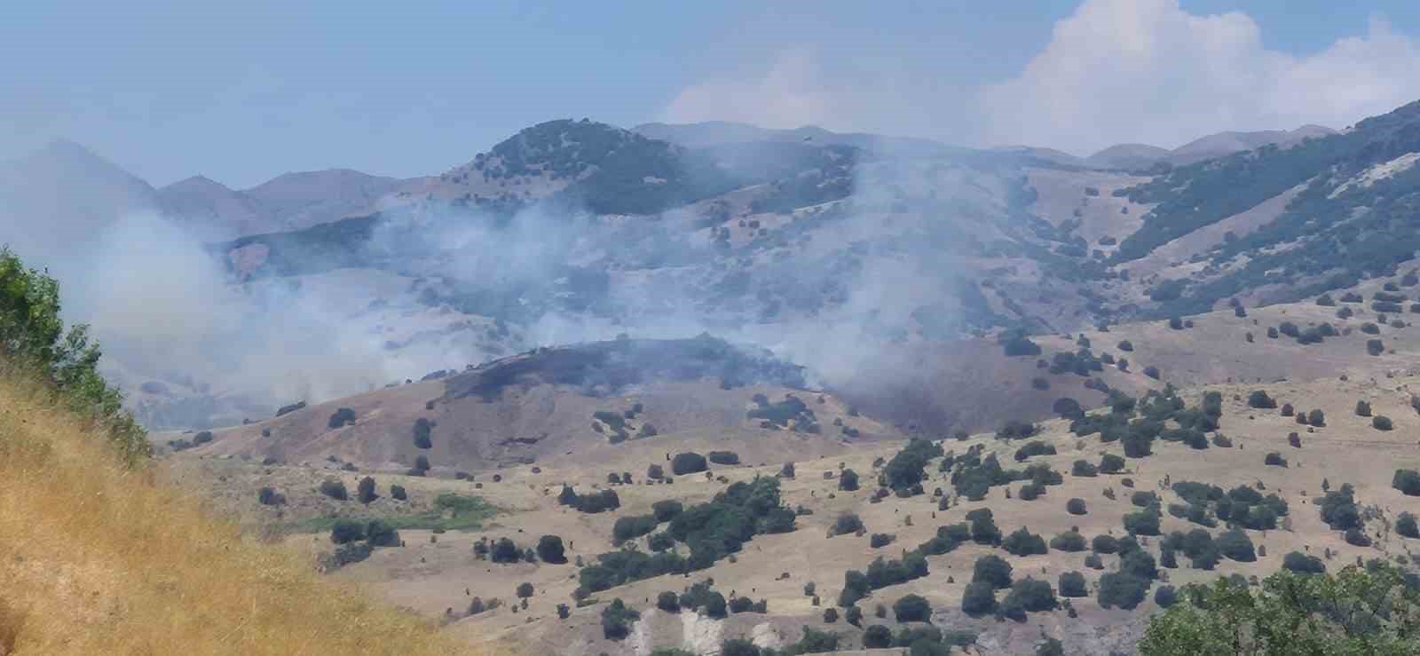 Bingöl’de orman yangını kontrol altına alındı