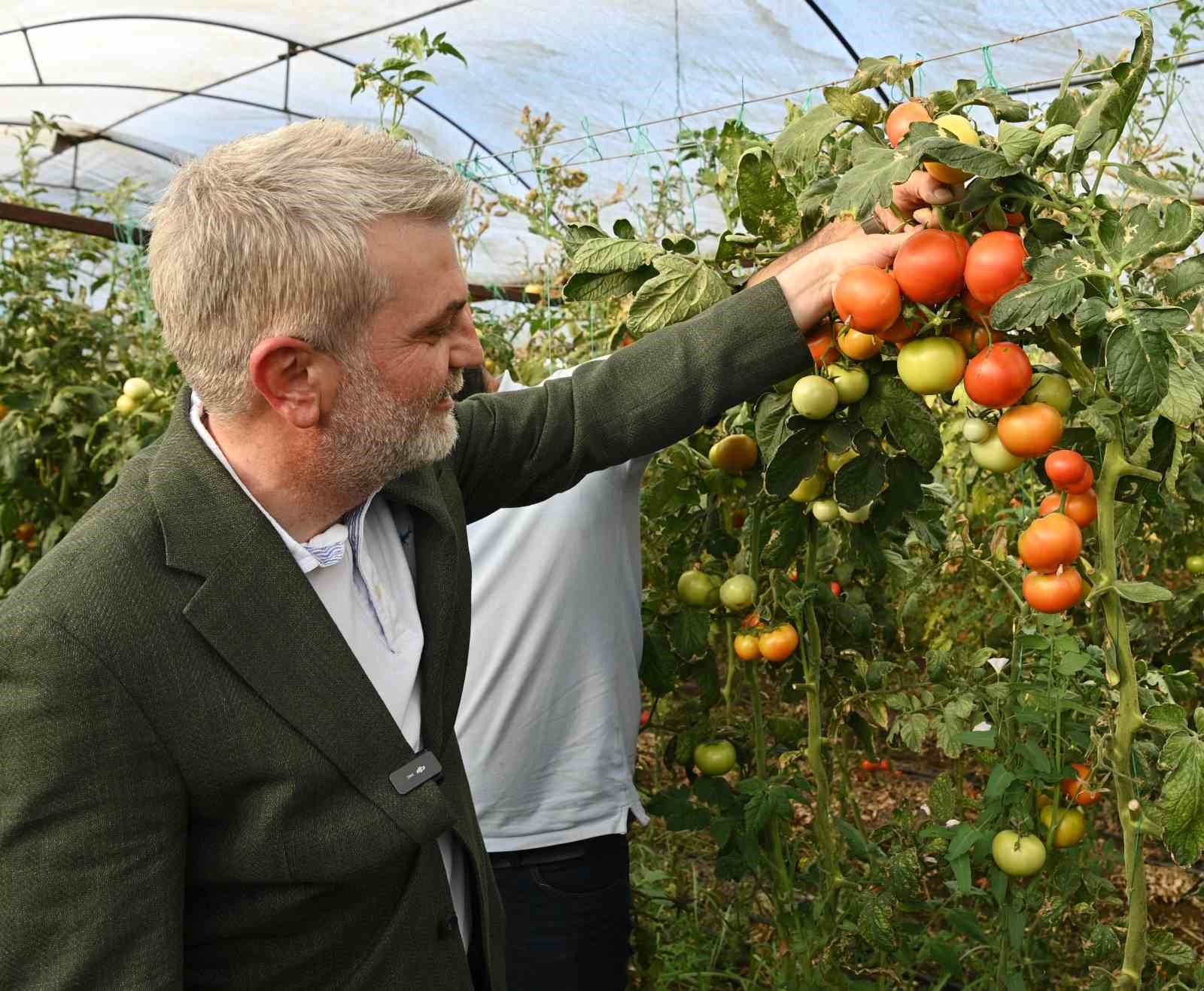 Kahramanmaraş’ta topraktan sofraya bereket zincirine destek