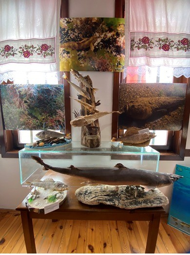 Ak&ccedil;akoca sualtı d&uuml;nyası
