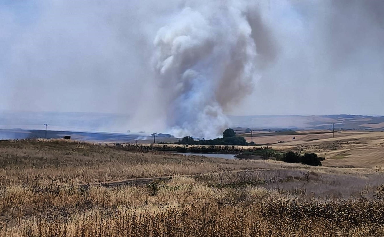 Hayrabolu’da çıkan anız yangını söndürüldü