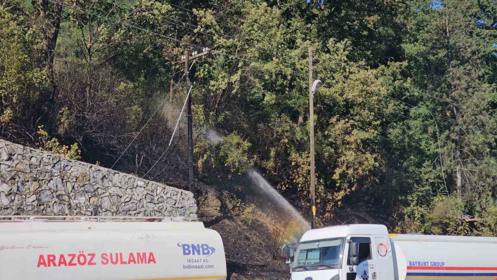 Zonguldak’ta çıkan örtü yangını kontrol altına alındı