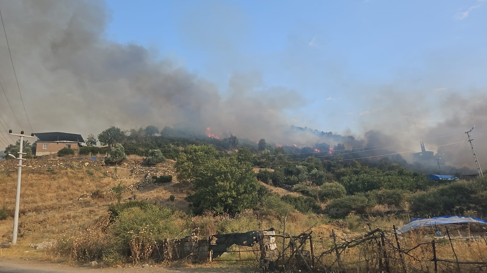 Yerleşim yerine yakın mesafede çıkan yangın büyümeden söndürüldü