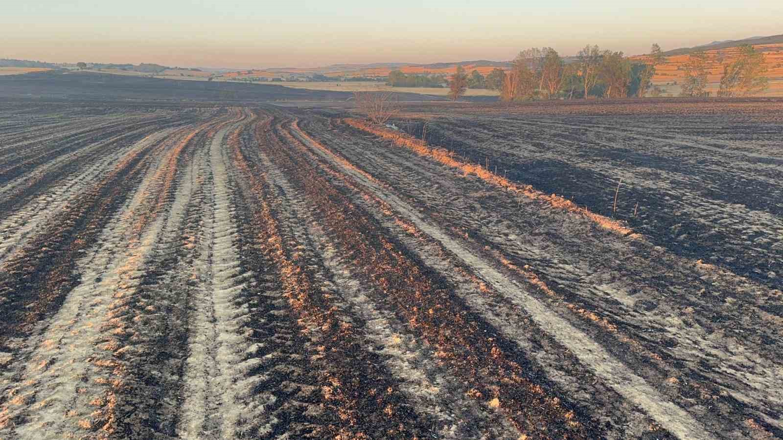 Tekirdağ&rsquo;da 2 bin 500 d&ouml;n&uuml;m ekili alan ve 200 adet arı kovanı yandı

