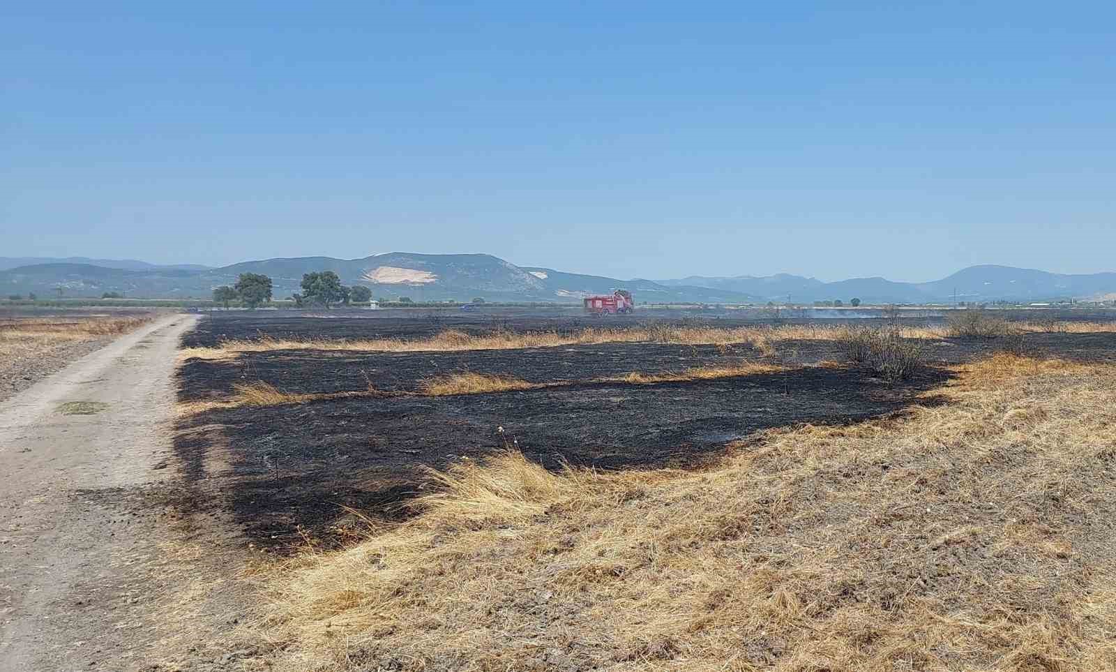 Merada çıkan yangında 200 dekar alan etkilendi