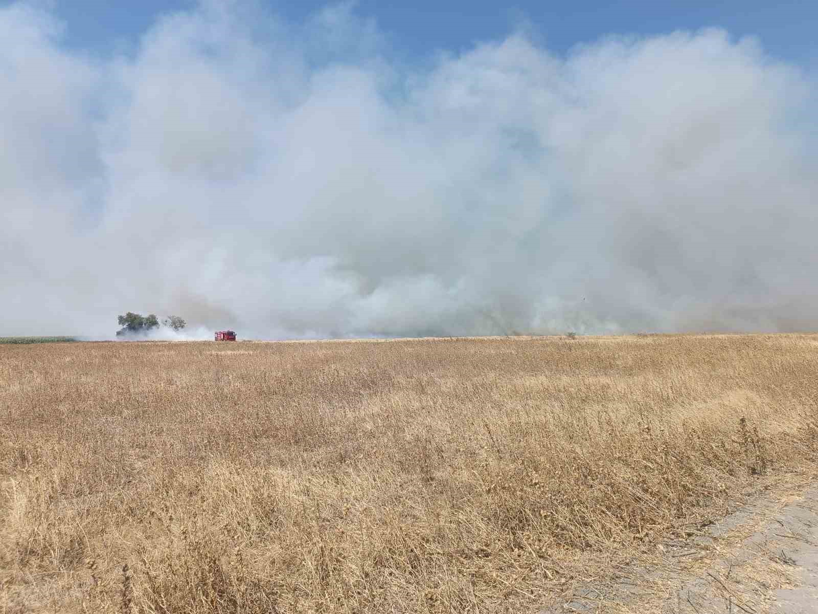 Merada &ccedil;ıkan yangında 200 dekar alan etkilendi
