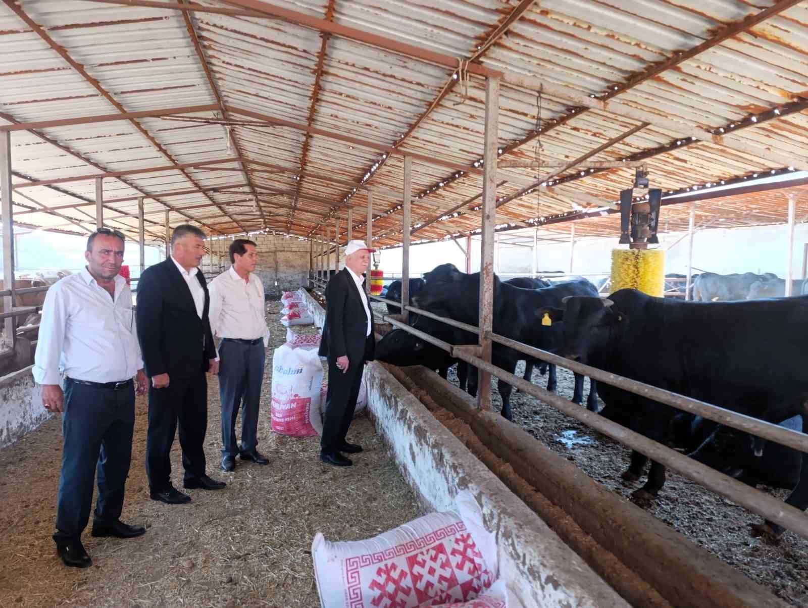 TZOB Başkanı Bayraktar: "Bu yıl görülen şap virüsü daha ölümcül ve tehlikeli boyutta seyrediyor"