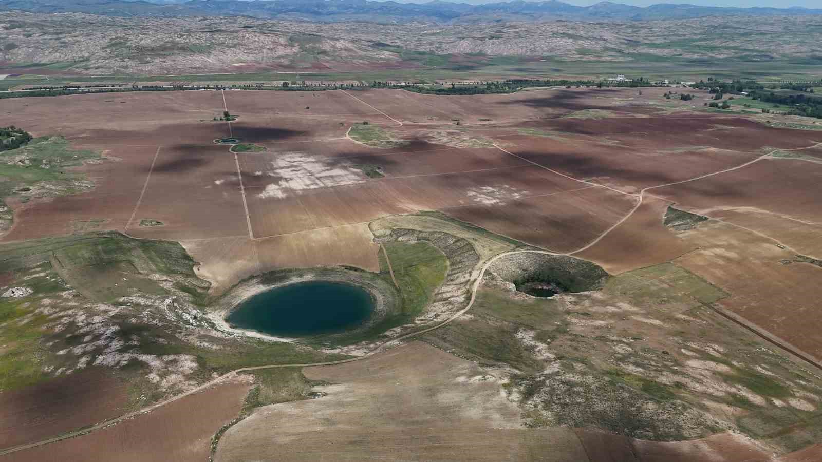 Doğanın gözlerinde kene sessizliği