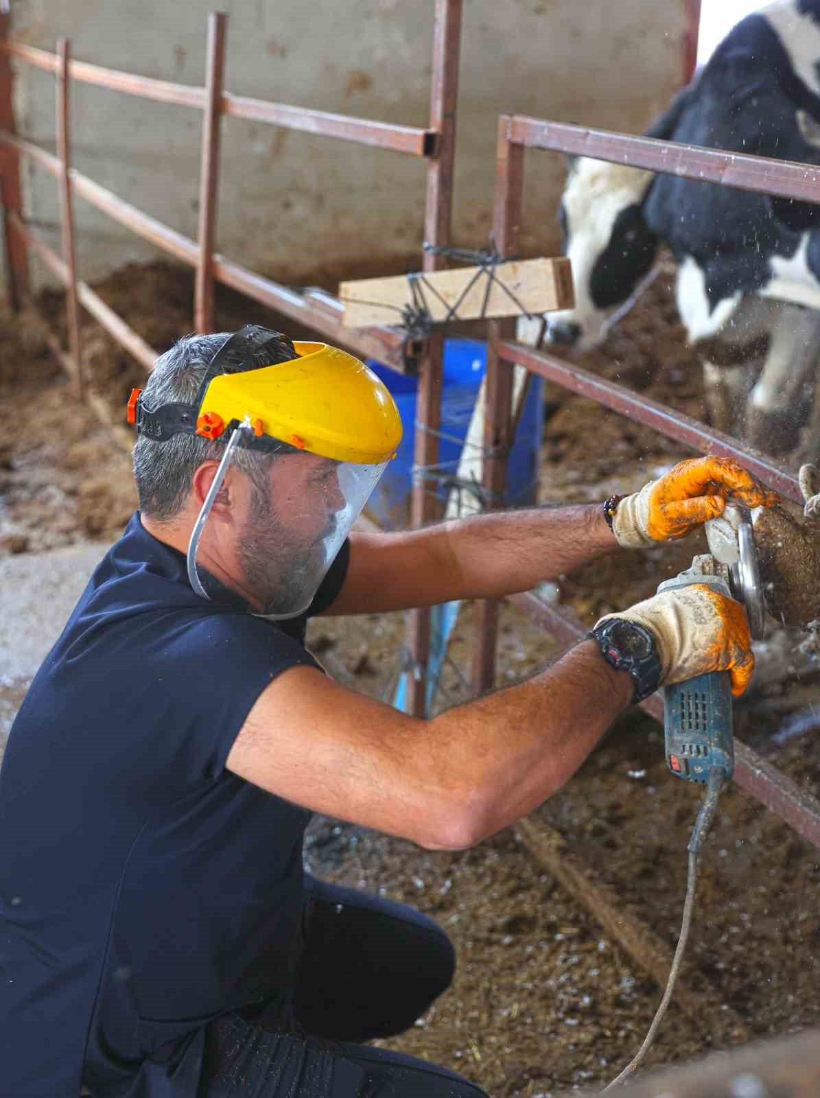Büyükşehir’den kırsaldaki besicilere veterinerlik hizmeti