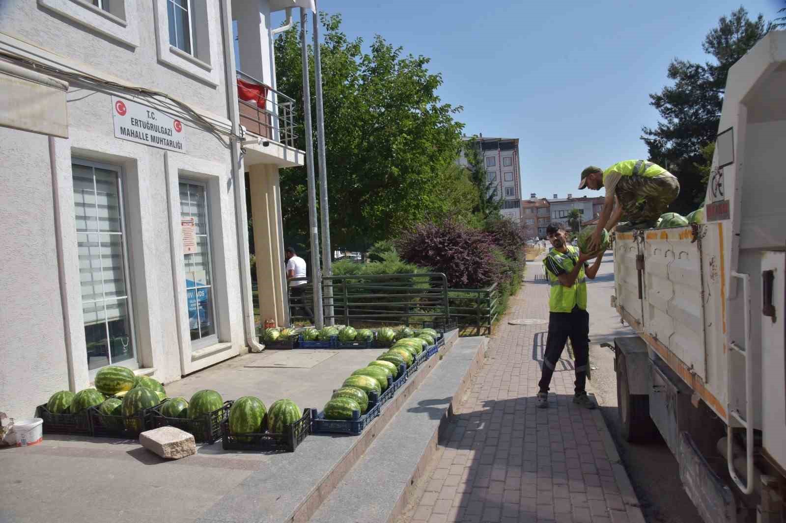 Fiyatlara kızdılar 50 ton bedava karpuz dağıttılar

