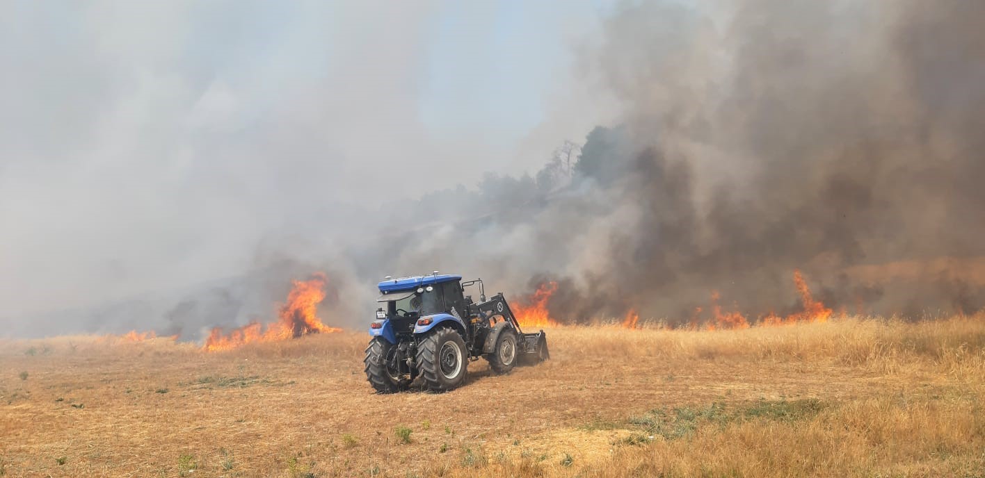 Bolu&rsquo;da anız yangını ormana sı&ccedil;radı
