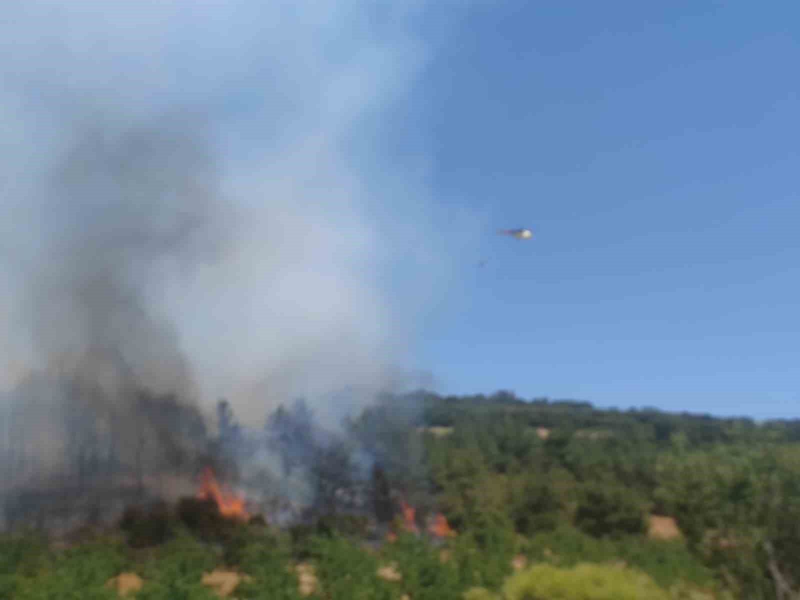 Tekirdağ&rsquo;da orman yangını
