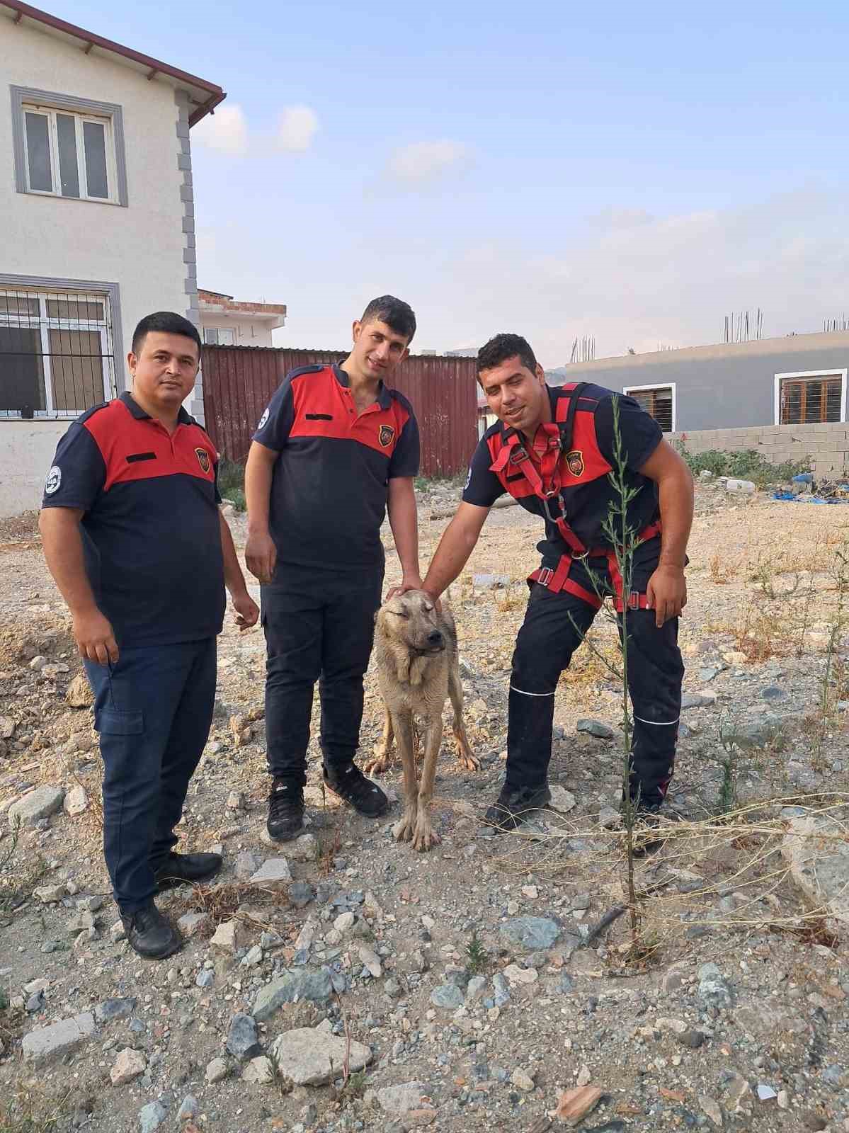 Antakya&rsquo;da 10 metrelik kuyuya d&uuml;şen k&ouml;peği itfaiye kurtardı
