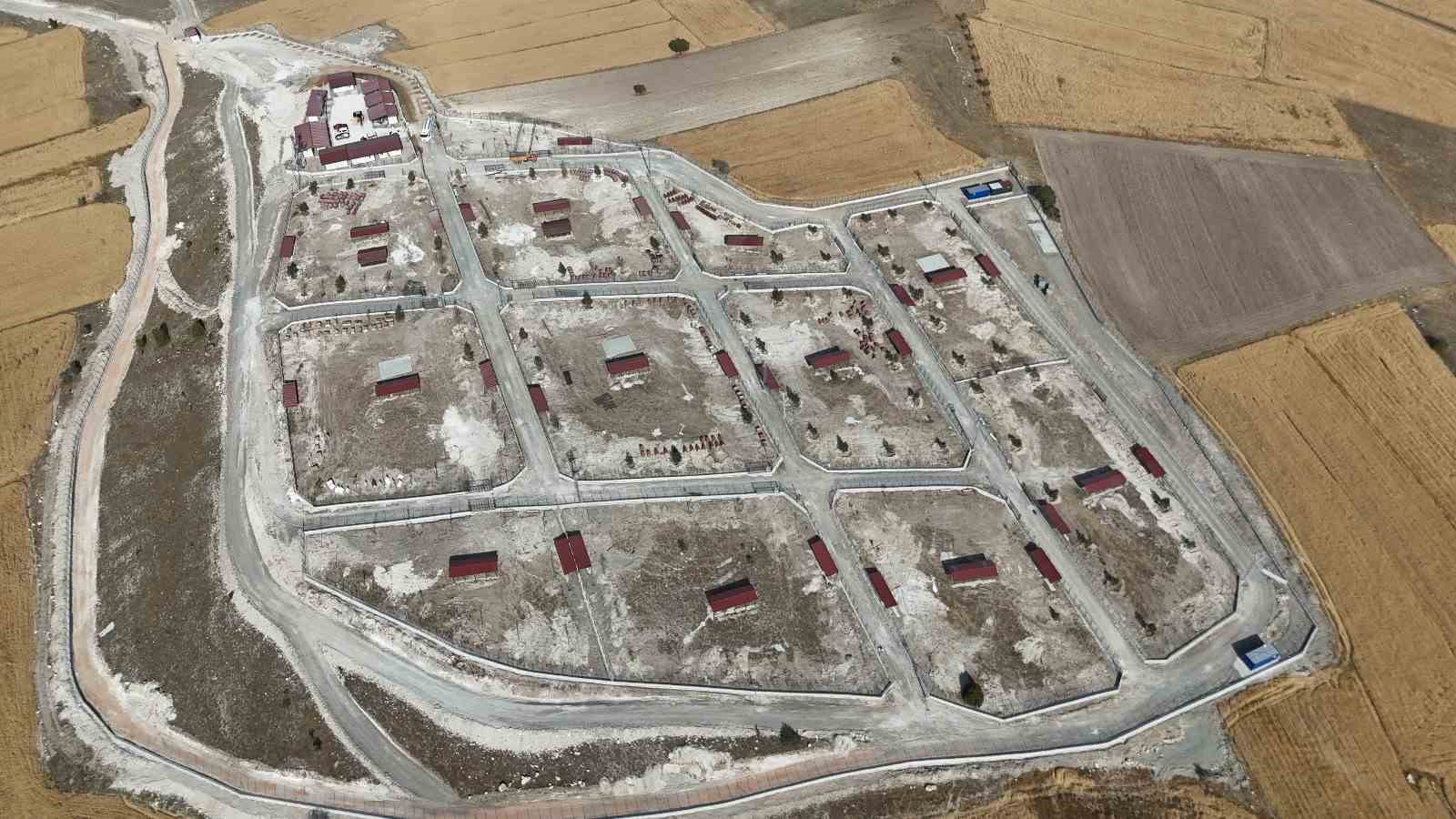 K&uuml;tahya Valisi Musa Işın: "Sahipsiz hayvanların sorumluluğu artık valiliklerde"
