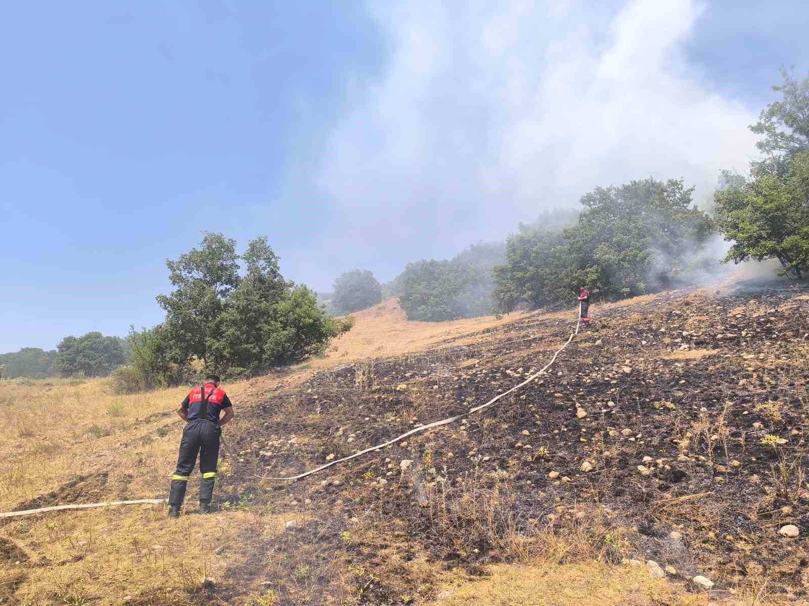 &Ccedil;orum&rsquo;da tarlada &ccedil;ıkan yangın ormanlık alana ulaşmadan kontrol altına alındı
