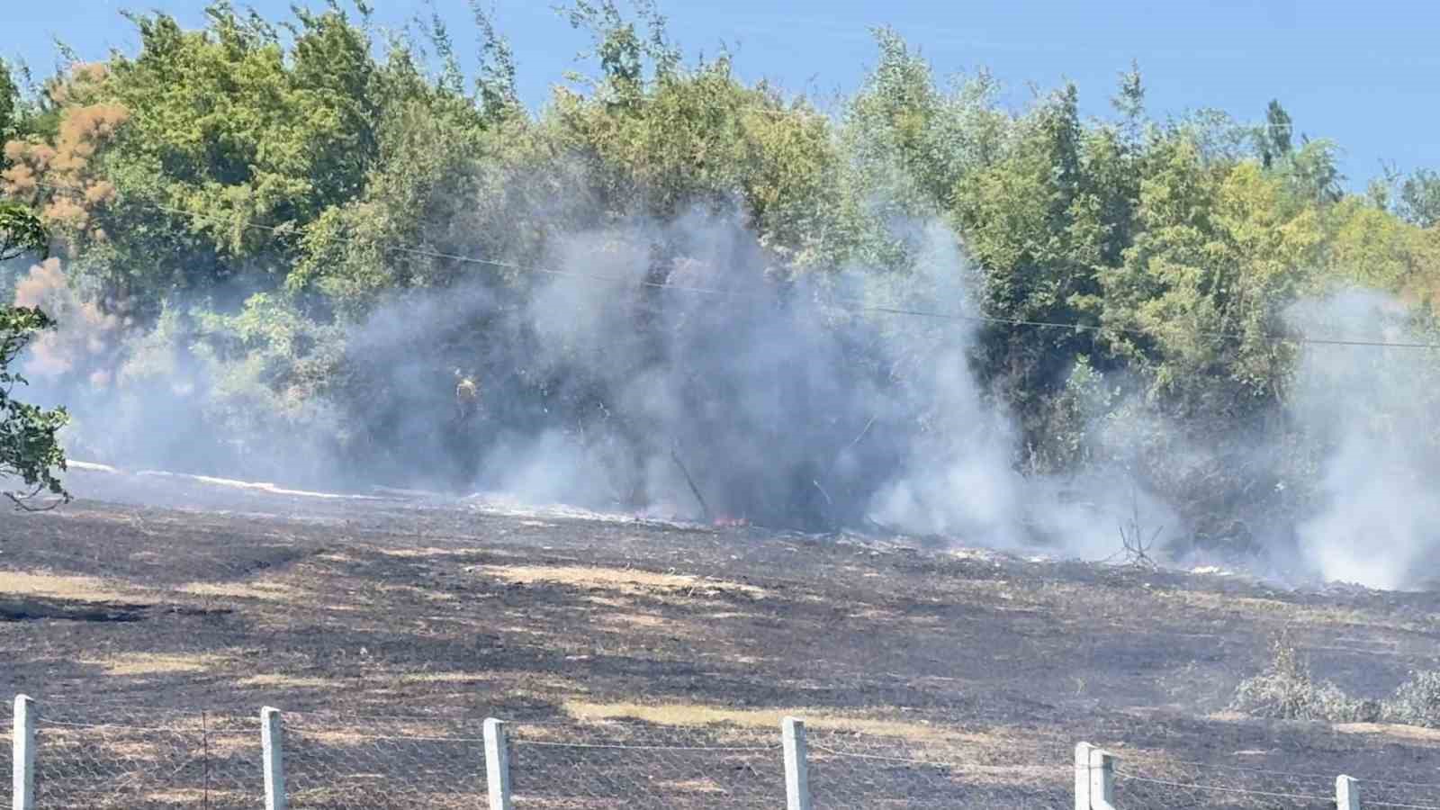 Anız yangını ormana sı&ccedil;ramadan s&ouml;nd&uuml;r&uuml;ld&uuml;
