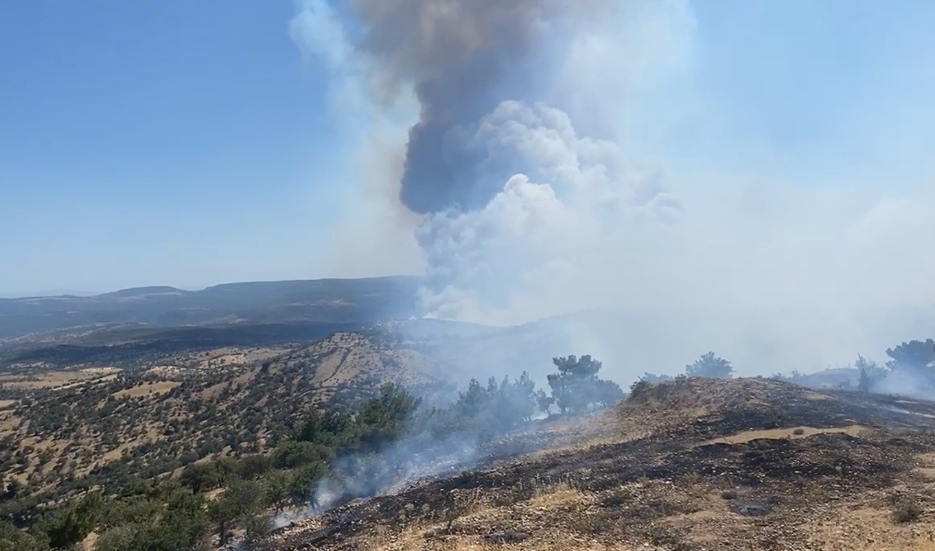 Ayvacık’ta başlayan orman yanınına müdahale ediliyor