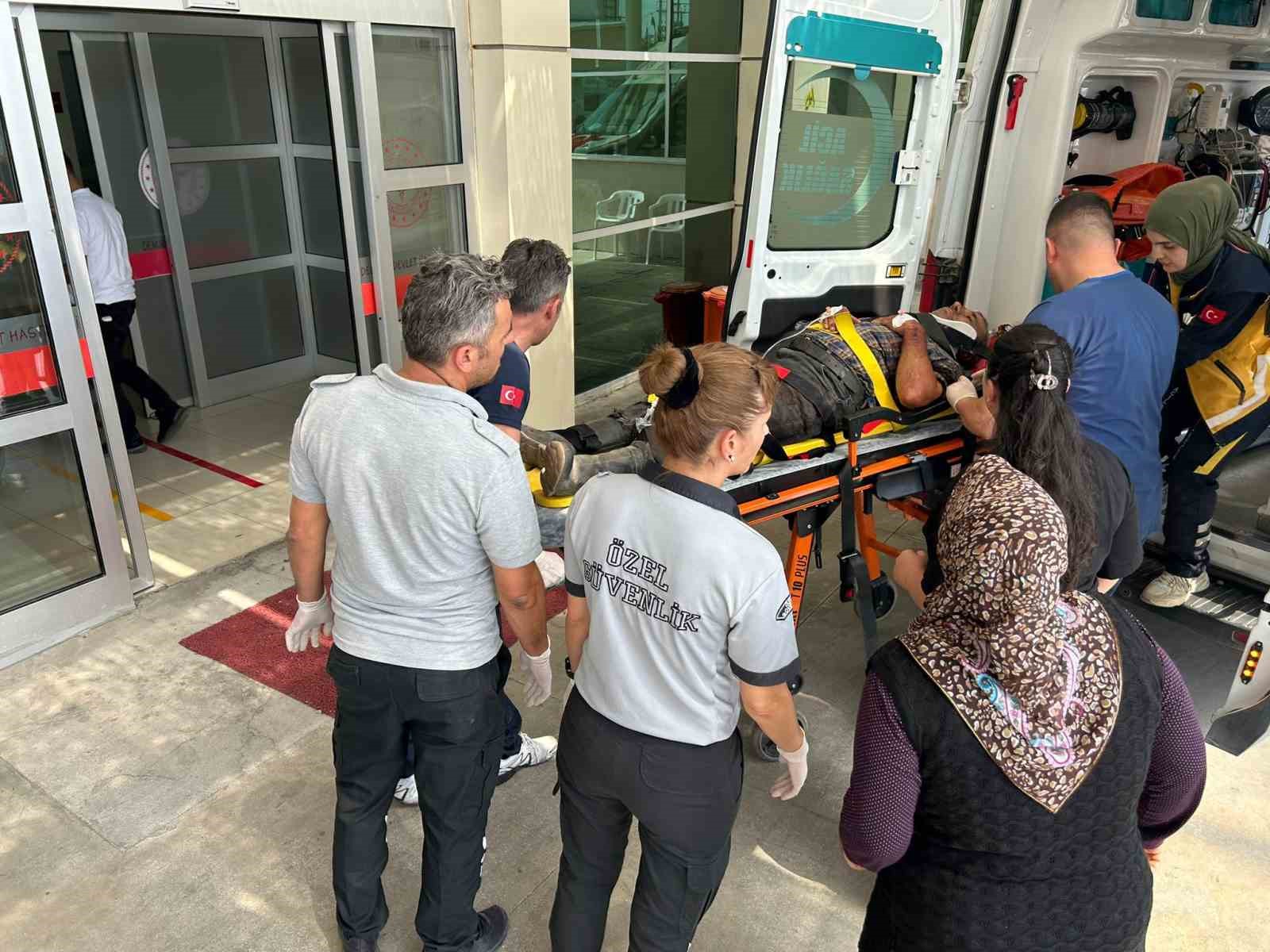 Otomobil ağaca &ccedil;arptı: 1 &ouml;l&uuml; 4 yaralı
