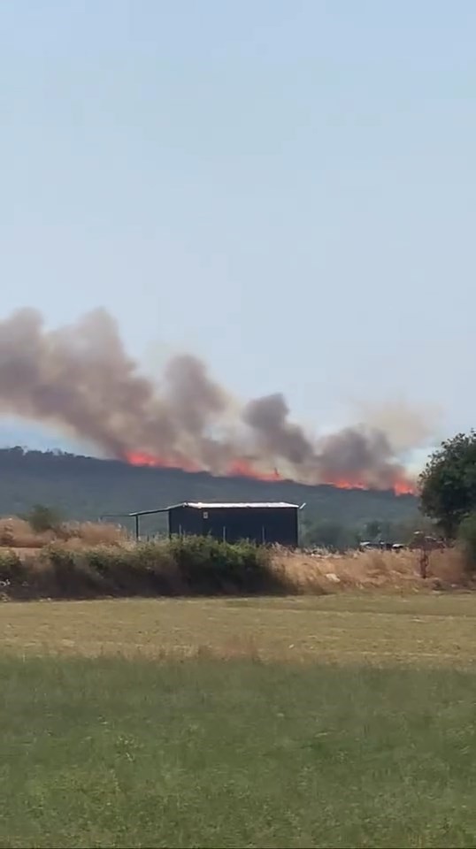 Uluabat Gölü’nden defalarca sorti yaptılar...Bursa’da iki ayrı noktada orman yangını