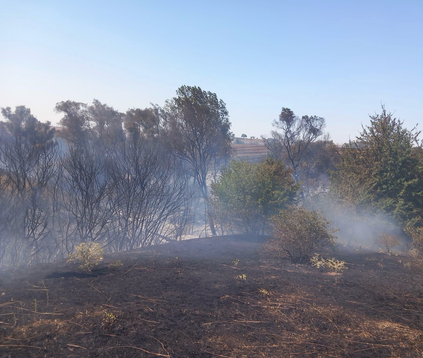 Muratlı’da anız yangını