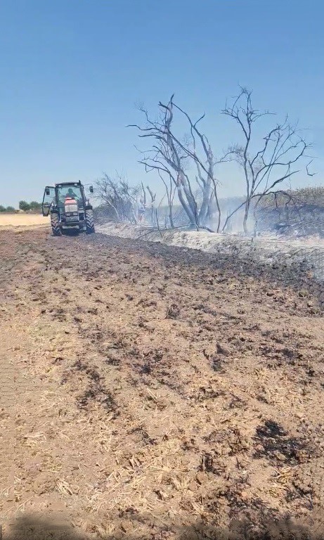 Muratlı&rsquo;da anız yangını
