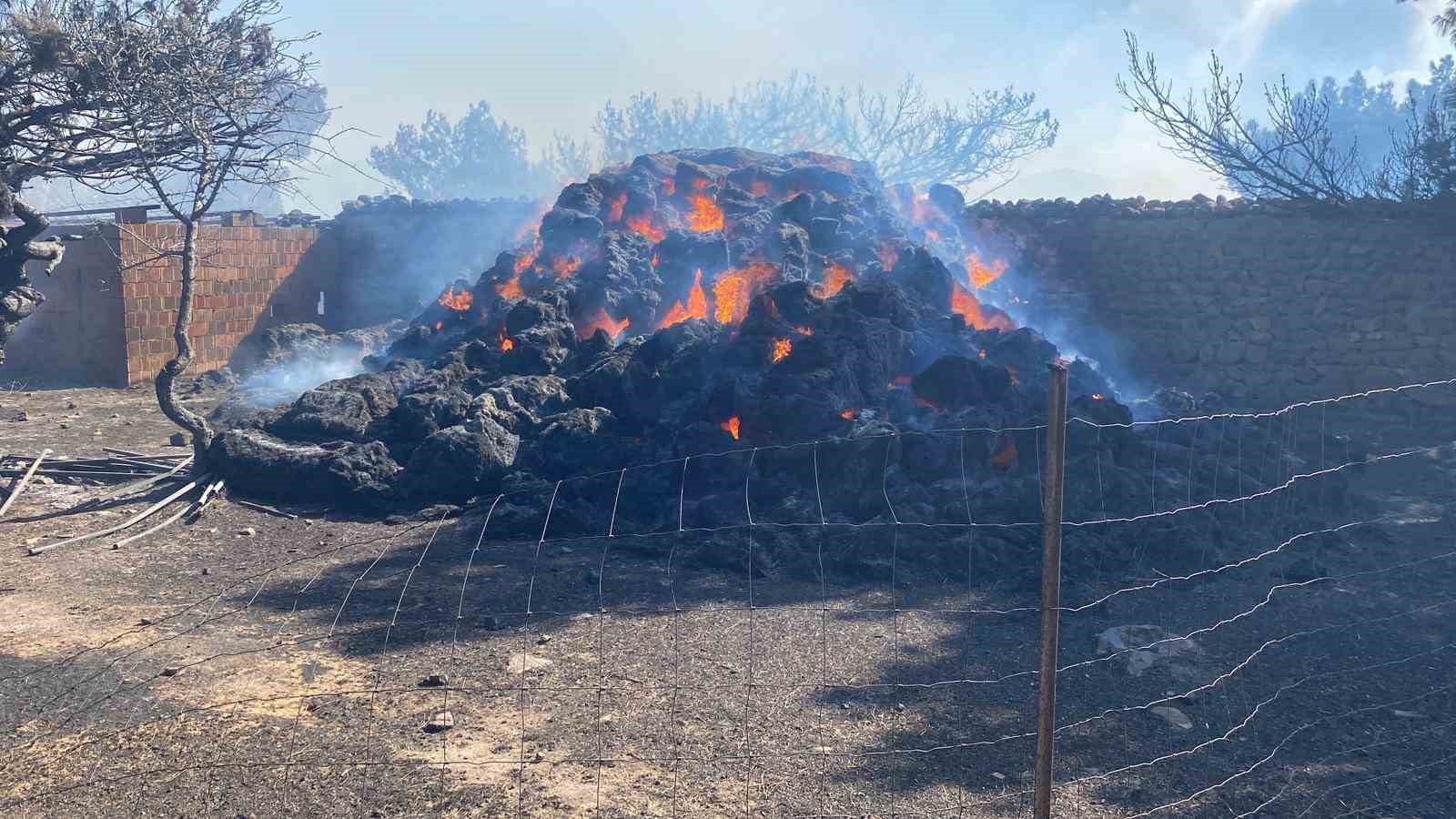 &Ccedil;anakkale&rsquo;de &ccedil;ıkan orman yangınında damlar yandı, hayvanlar telef oldu

