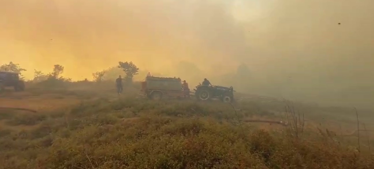 Gebze’deki orman yangınını söndürme çalışmaları sürüyor