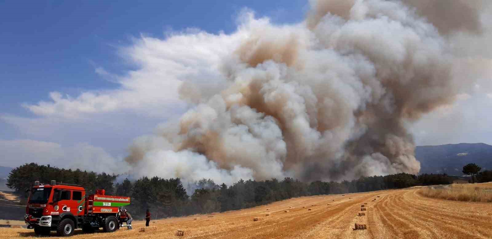 Bolu&rsquo;daki orman yangını kontrol altına alındı: Soğutma &ccedil;alışmaları s&uuml;r&uuml;yor
