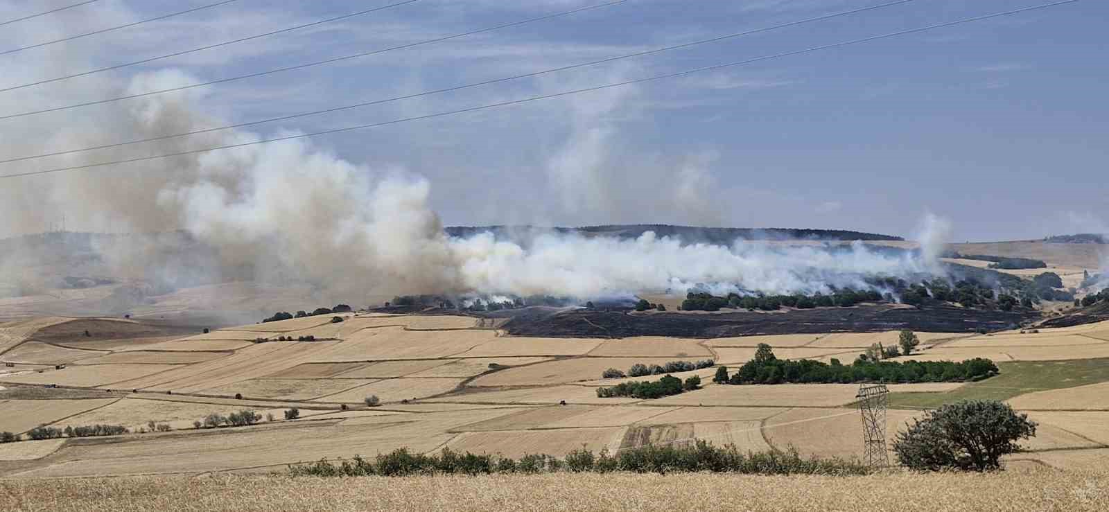 Çorum’da tarlada çıkan yangında 200 dönüm ekili arazi kül oldu