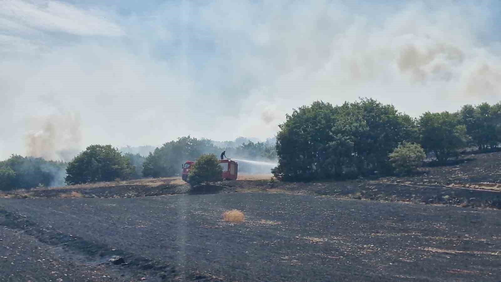 &Ccedil;orum&rsquo;da tarlada &ccedil;ıkan yangında 200 d&ouml;n&uuml;m ekili arazi k&uuml;l oldu
