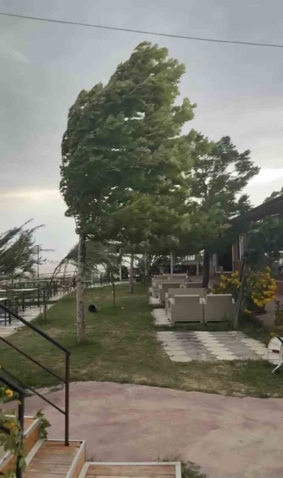 Palu’da fırtına etkili oldu