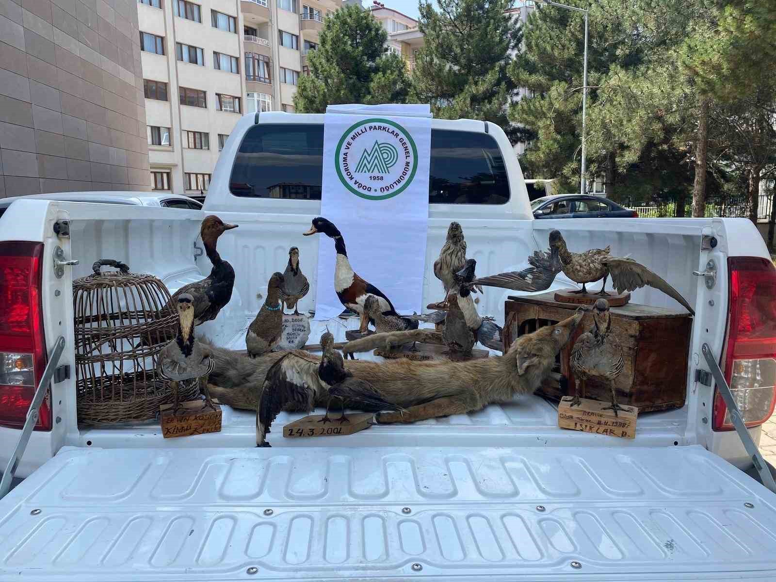 Afyonkarahisar’da 14 tahnit hayvan ve 2 kafes ele geçirildi