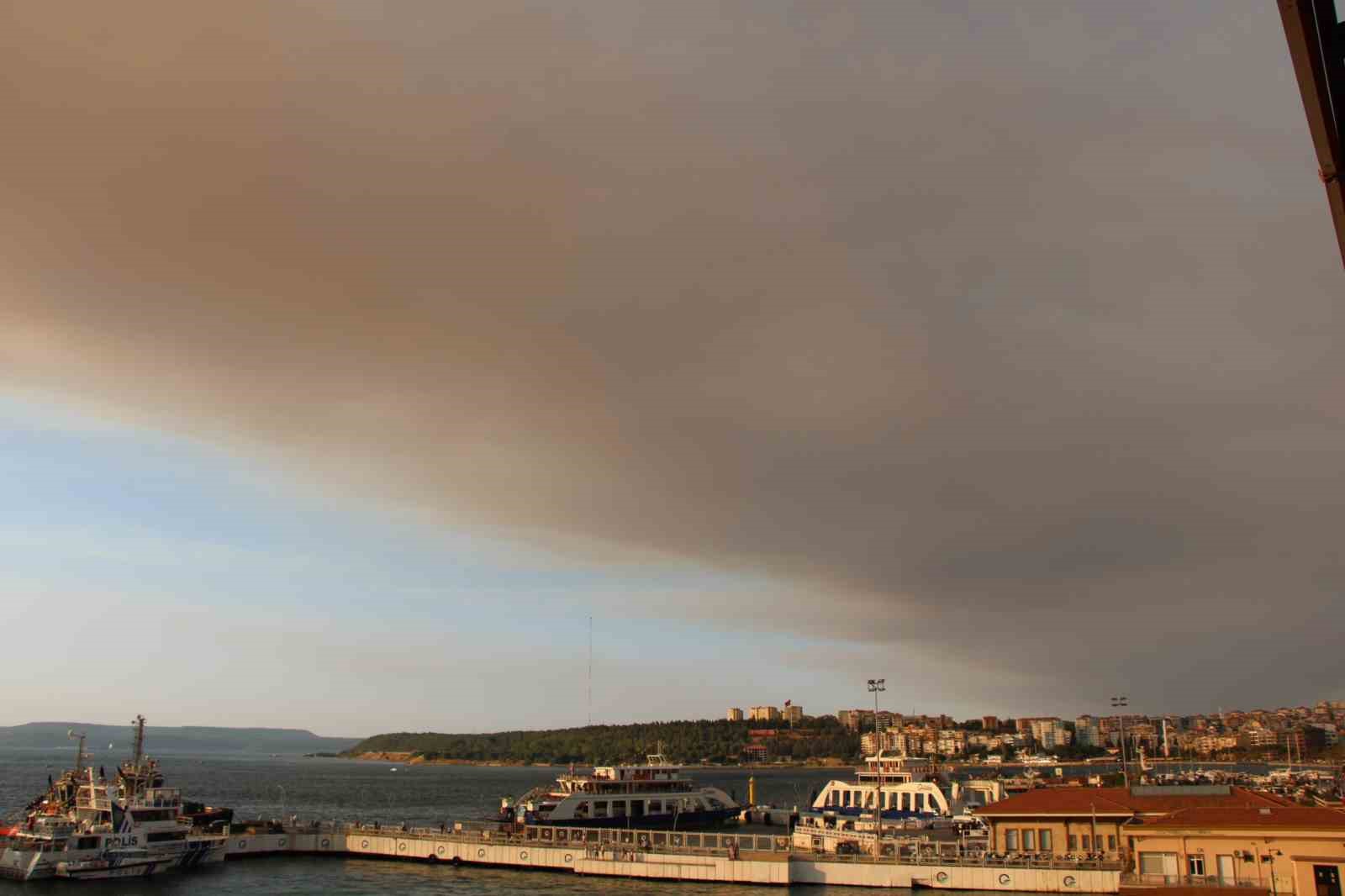 Tekirdağ’daki orman yangınının dumanı Çanakkale Boğazı’nı kapladı