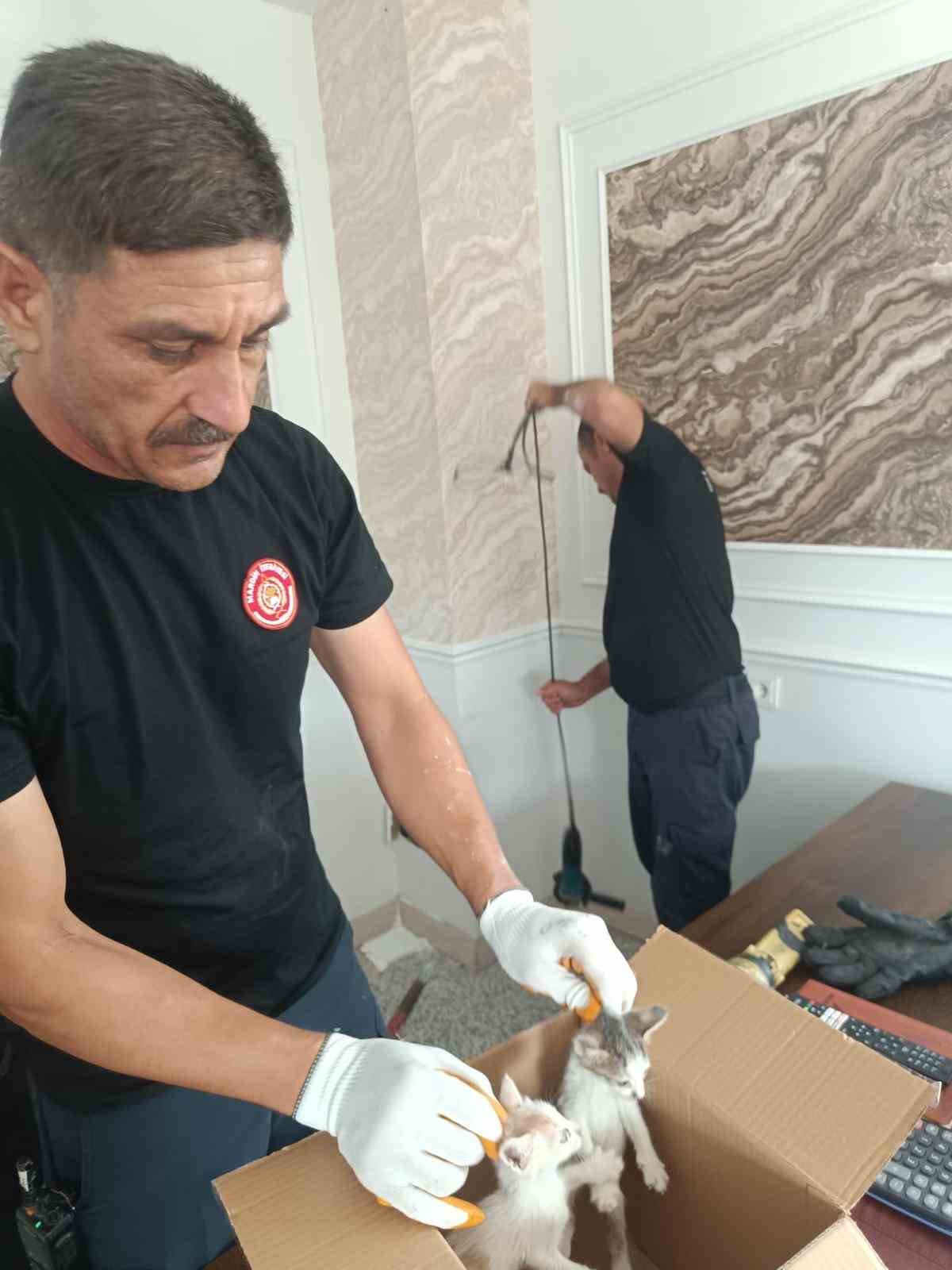 Mardin&rsquo;de havalandırma boşluğuna d&uuml;şen yavru kediler kurtarıldı
