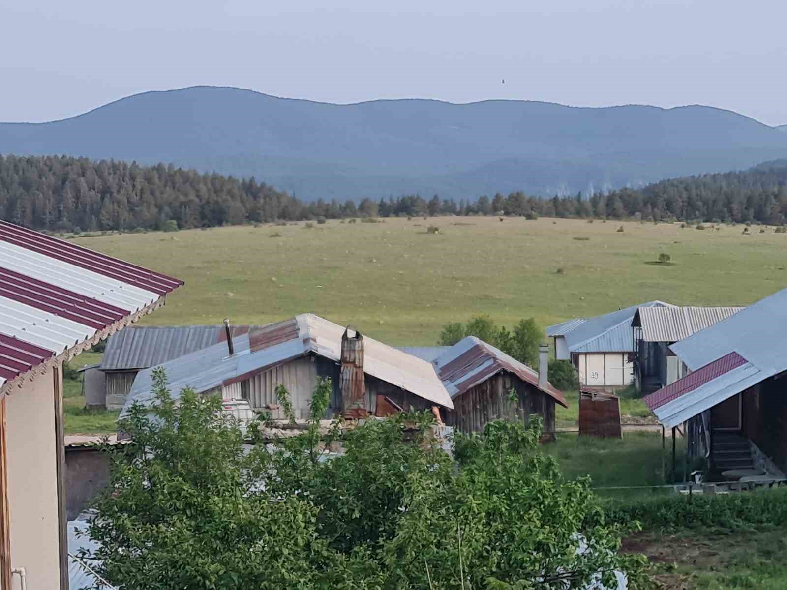 Ankara’da yılkı atları kameralara yakalandı
