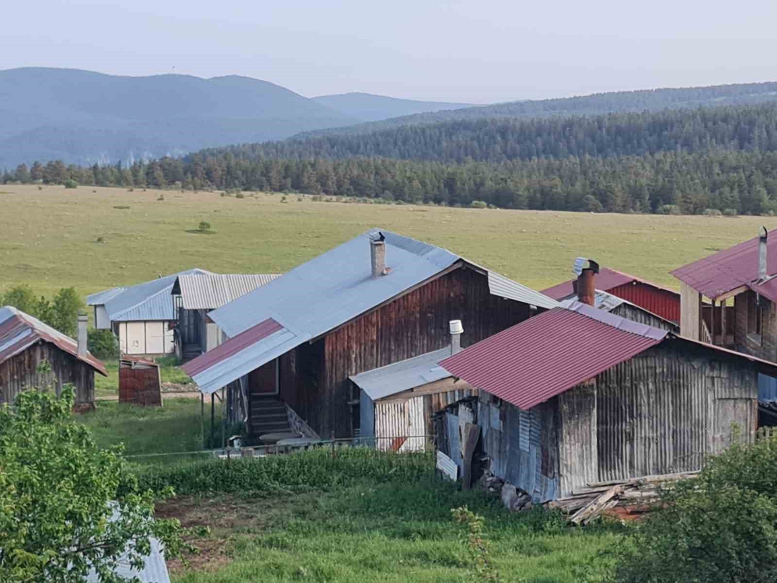 Ankara&rsquo;da yılkı atları kameralara yakalandı
