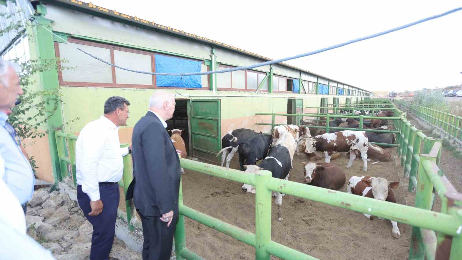 TZOB Genel Başkanı Bayraktar, b&uuml;y&uuml;kbaş hayvan besicileriyle bir araya geldi
