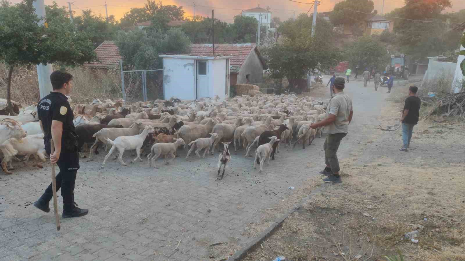 Tekirdağ Şark&ouml;y&rsquo;deki orman yangınına havadan ve karadan m&uuml;dahale s&uuml;r&uuml;yor
