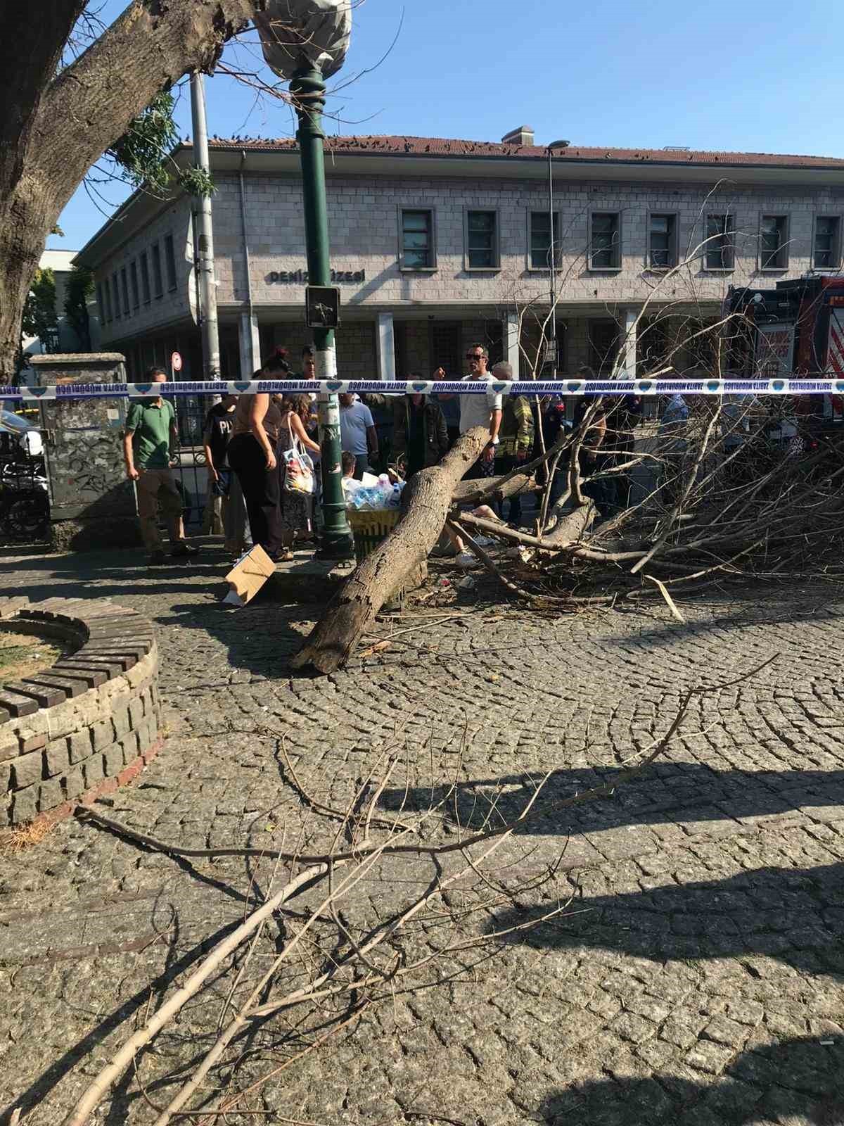 Beşiktaş&rsquo;ta kaldırımda giden 3 kişinin &uuml;zerine ağa&ccedil; devrildi
