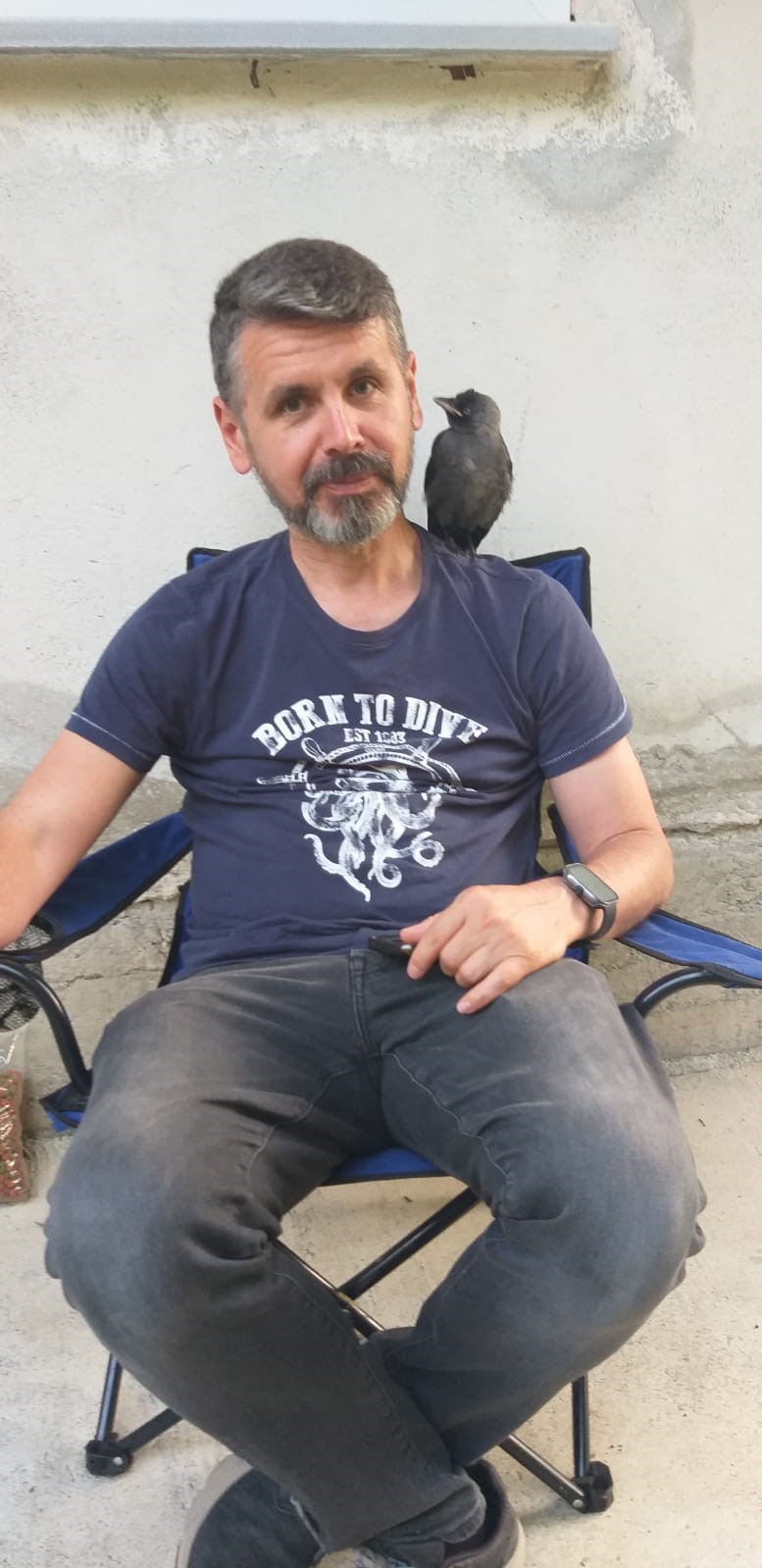 Besle kargayı, dostun olsun