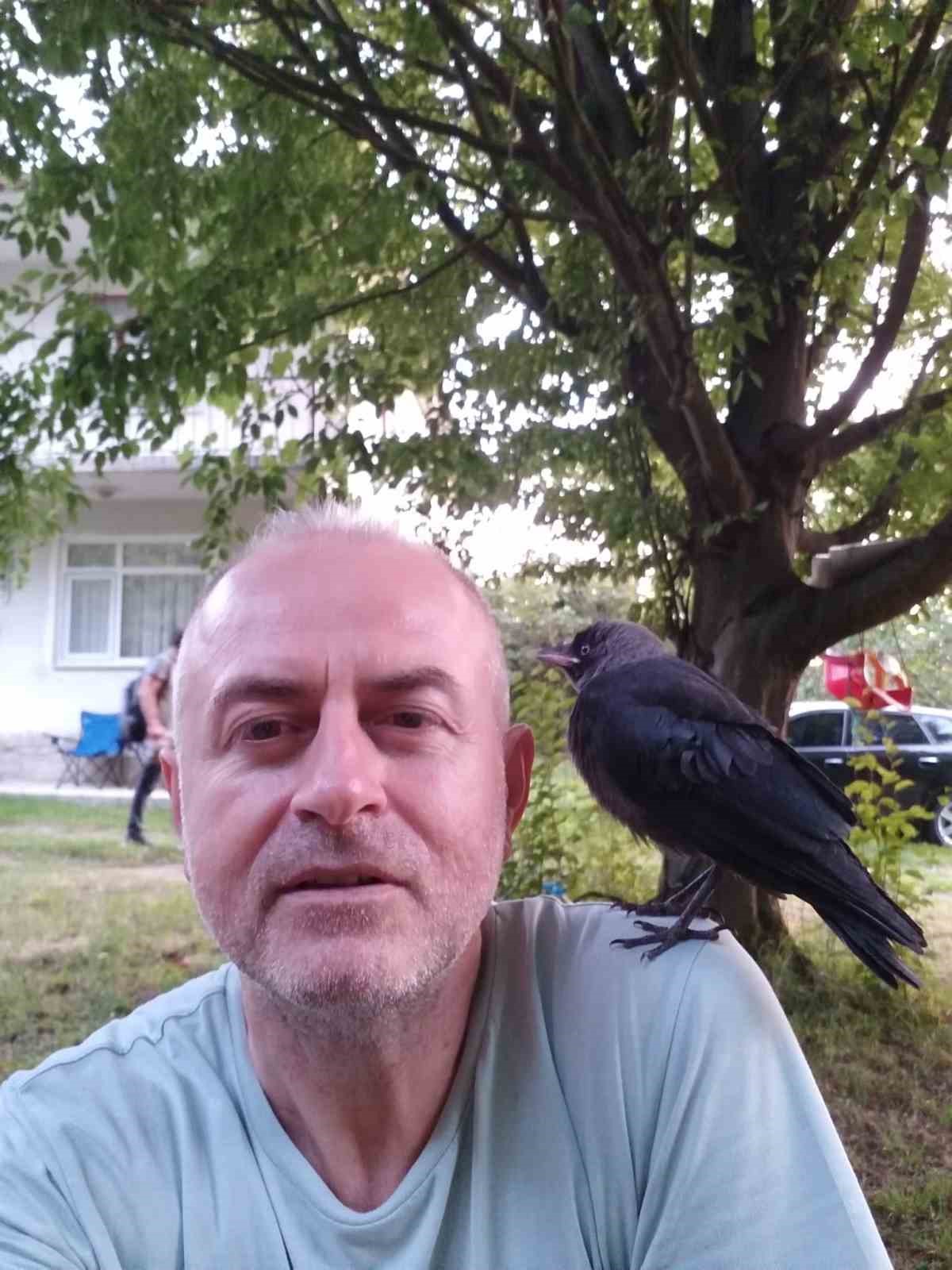 Besle kargayı, dostun olsun
