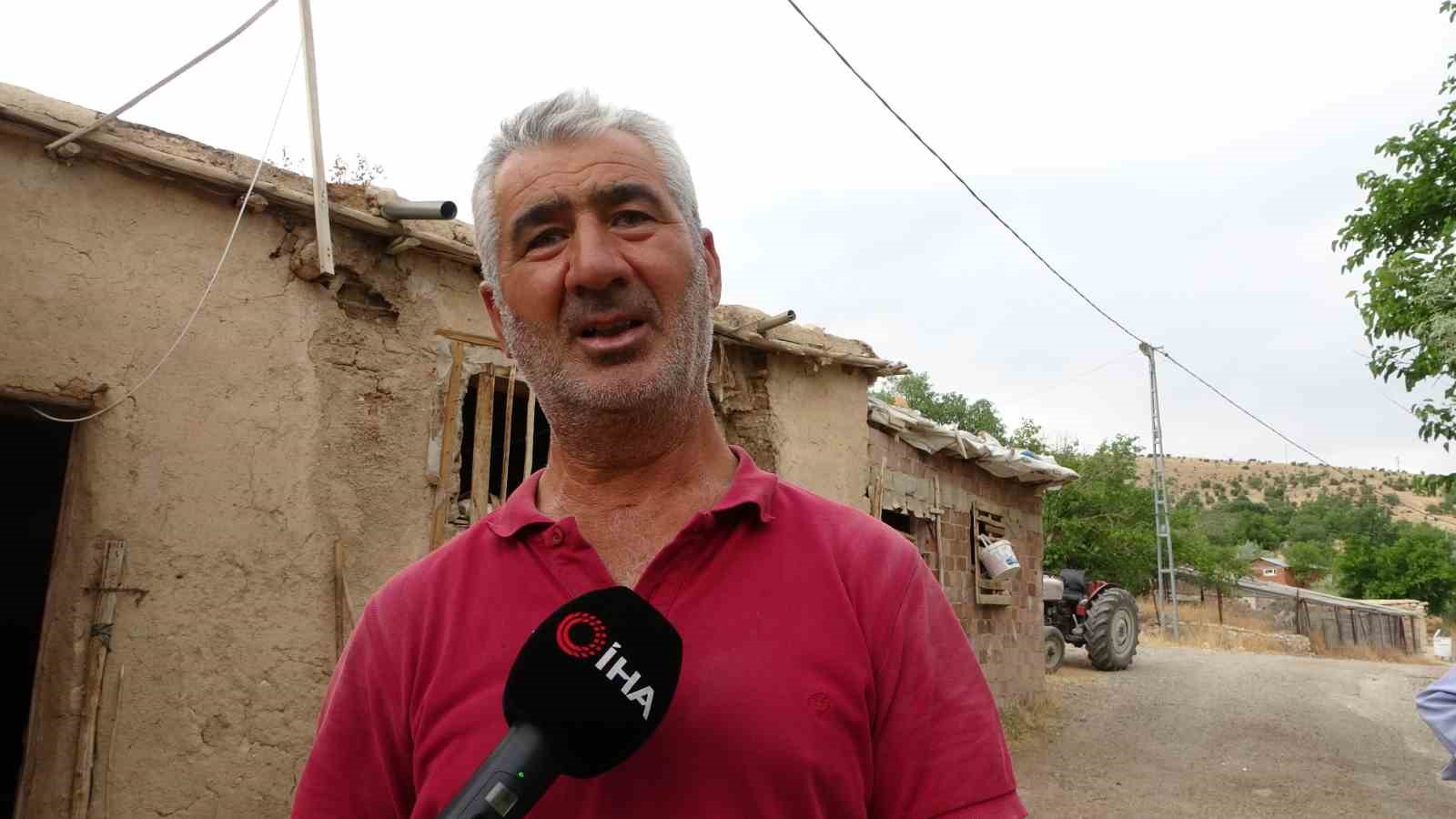 Malatya’da çift başlı doğan buzağı şaşırttı