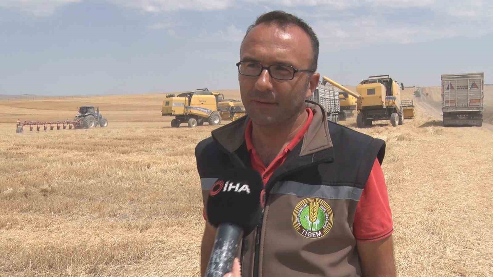 Kurak yıla rağmen umut veren hasat: Verimde yüzde 30 artış
