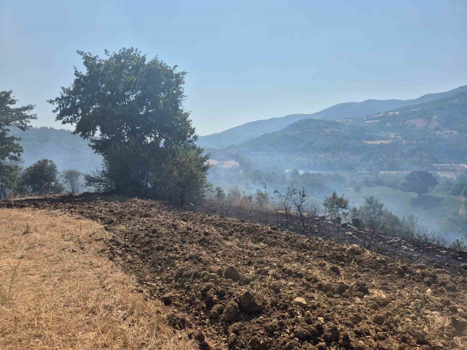 G&ouml;nen&rsquo;de arazi ve anız yangını s&ouml;nd&uuml;r&uuml;ld&uuml;
