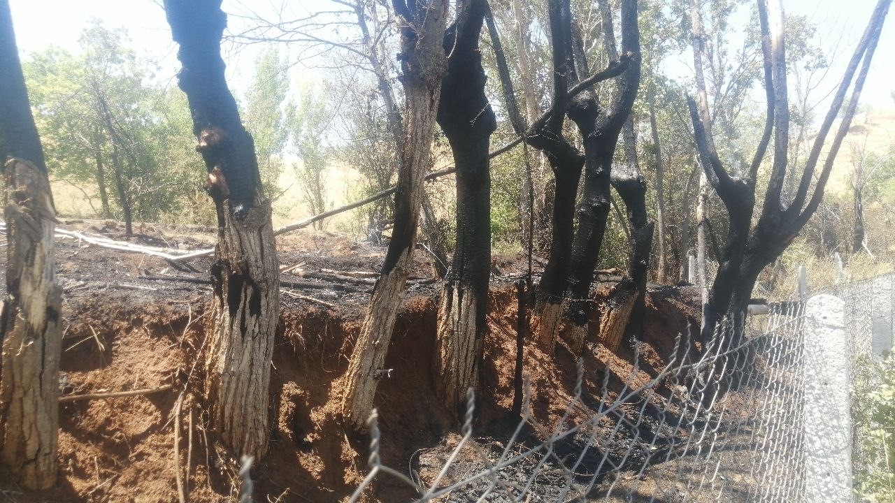Bir kıvılcımla yangını başlattı, alevlerin büyüdüğünü görünce kaçtı