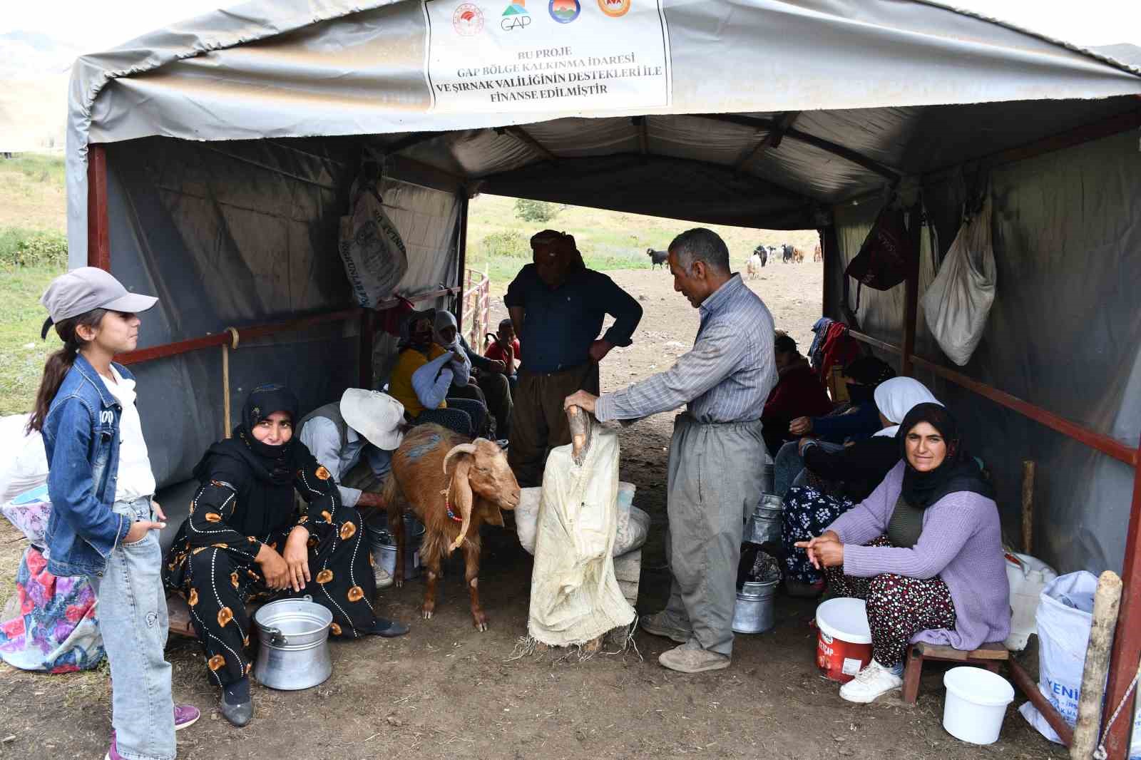Şırnak&rsquo;ta g&ouml;&ccedil;erler &rsquo;Ter&ouml;rs&uuml;z T&uuml;rkiye&rsquo; s&uuml;reciyle birlikte yurtlarında kalıcı olmak istiyor
