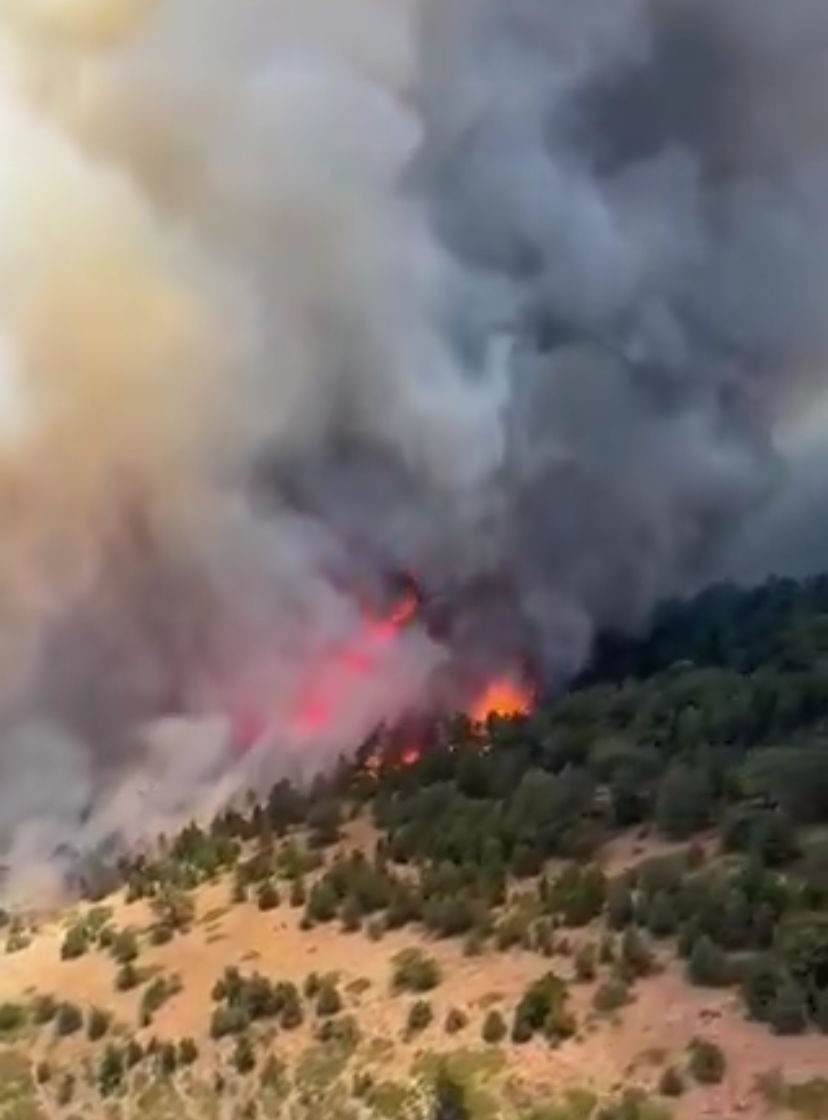 Konya’daki orman yangını kontrol altına alındı