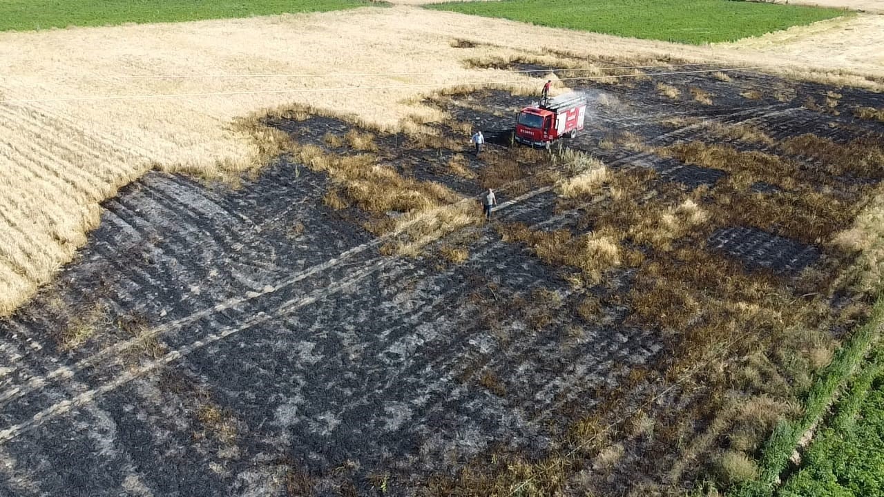 2 dönümlük buğday ekili alan yangında zarar gördü